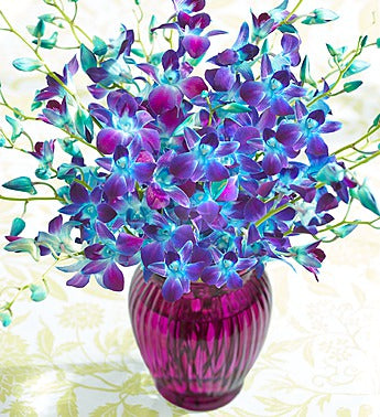 Purple Beauty - Send Flowers Online