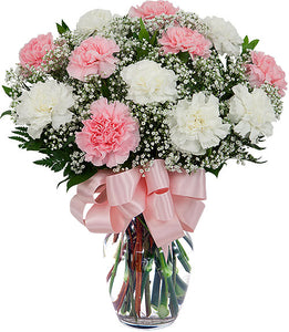 Charming Carnation - Online Flowers Delivery In Delhi