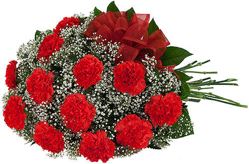 Lovely carnation - Send Flowers Online