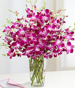 Flowery Celebrations - Send Flowers Online