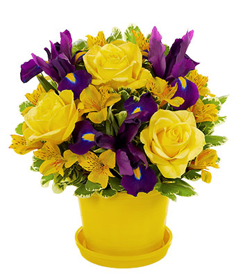 The Sunny Bouquet