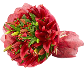 Red Mania