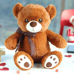 Cool Cuddly Teddy