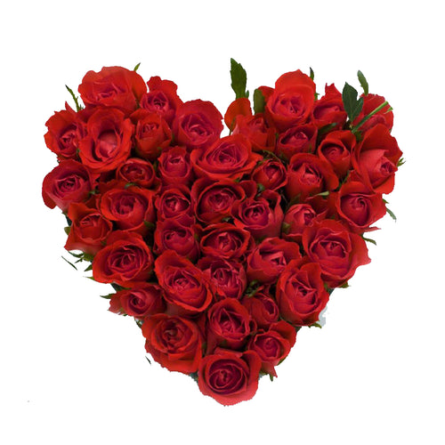 Celebrate My Love - Send Flowers Online