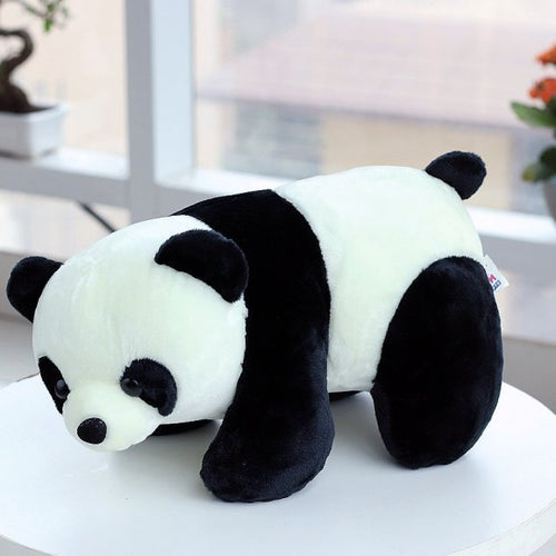Cuddly Panda