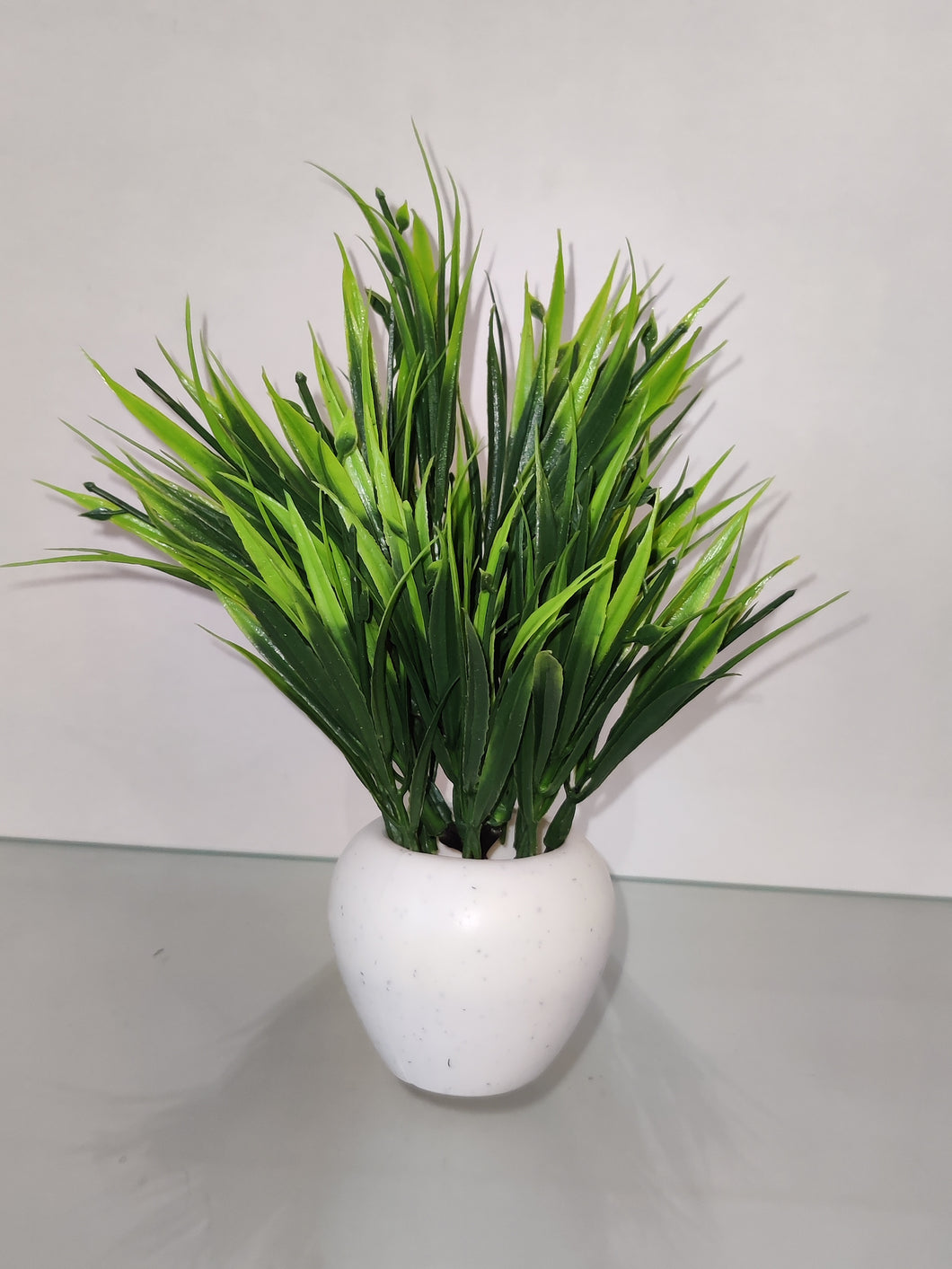 Artifial Long Leaf Plant