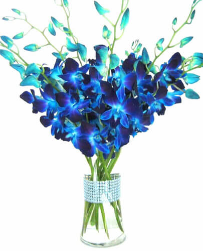 Cradle of Best wishes - Send Flowers Online
