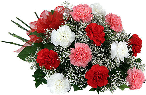 Carnation Trio Bouquet - Send Flowers Online