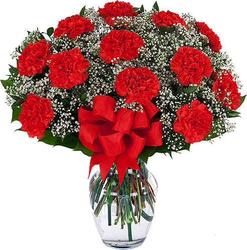 One Dozen Red Carnations - Send Flowers Online