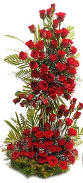 Lovely Arrangment - Send Flowers Online