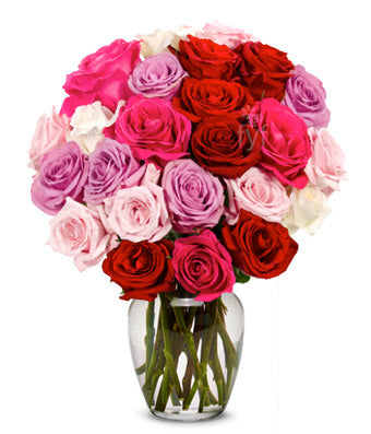 Exotica - Send Flowers Online