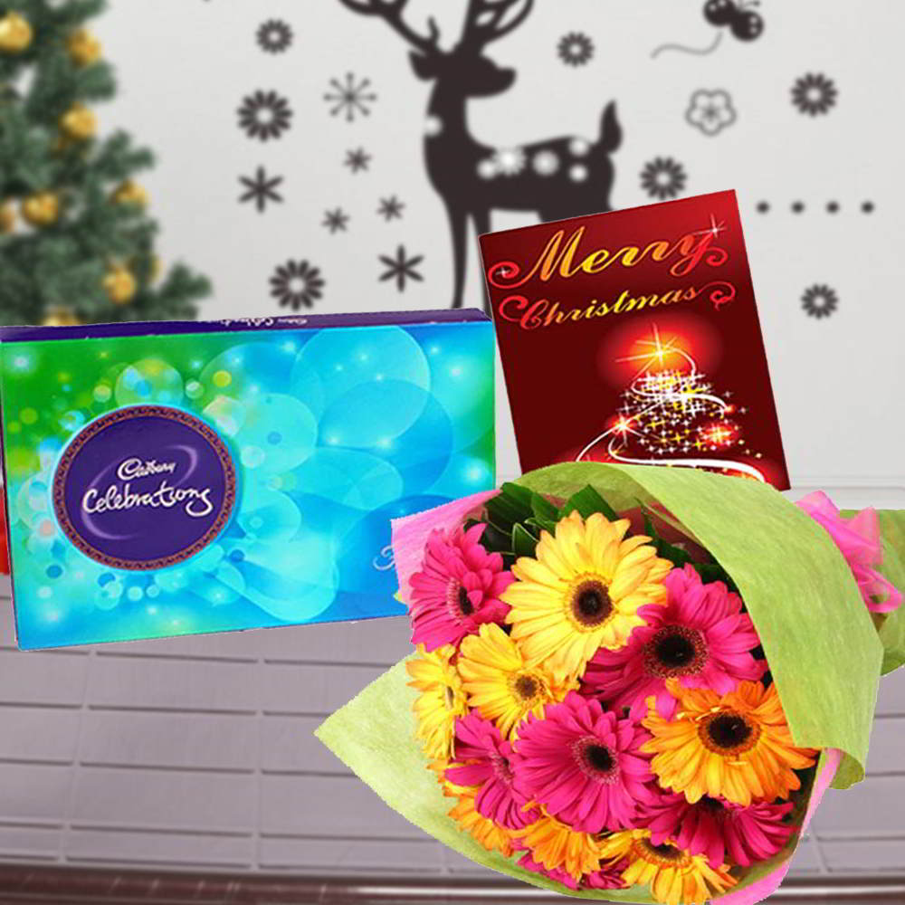 MIX GERBERAS BOUQUET WITH CADBURY CELEBRATIONS CHOCOLATE