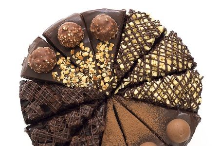 Choco Fudge Choice