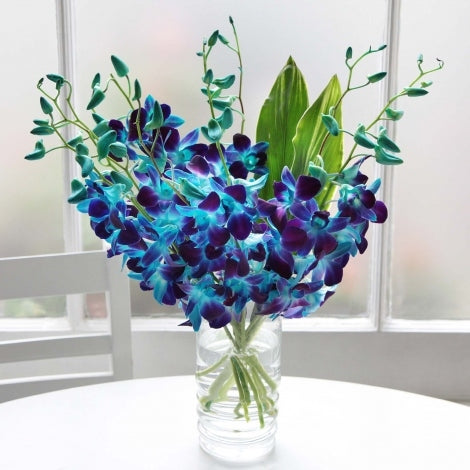 Blue orchid - online flower delivery in Hyderabad