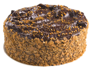 Choco Hazelnut