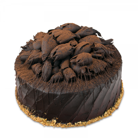 Chocolate Walnut Cake