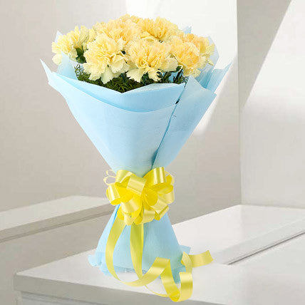 Radiant Carnations - Send Flowers Online