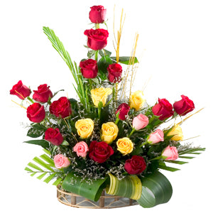 Dazzling - Send Flowers Online