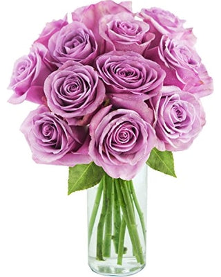 One Dozen Purple Roses