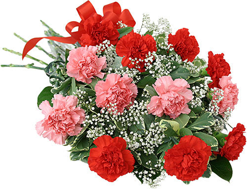 Pink & Red Carnation Bouquet - Online Flowers Delivery In Mumbai