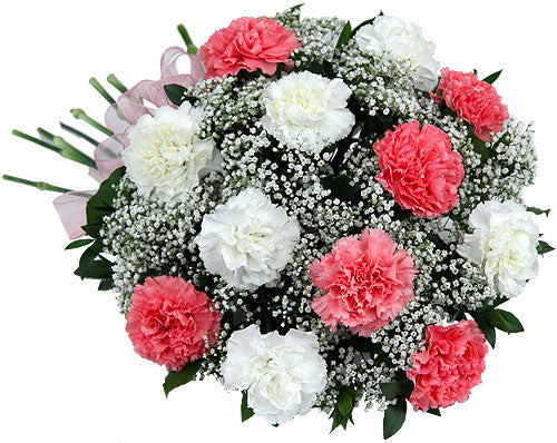 Pink & White Carnations - Send Flowers Online