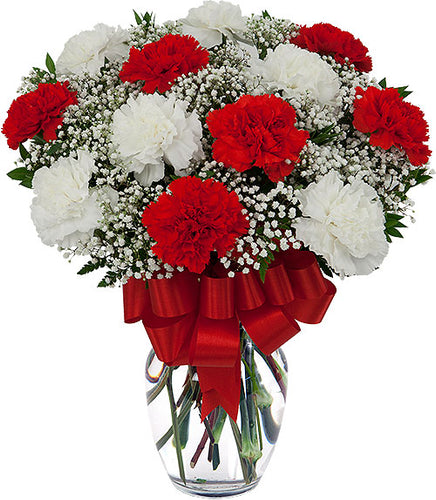 Perfect Carnation - Send Flowers Online