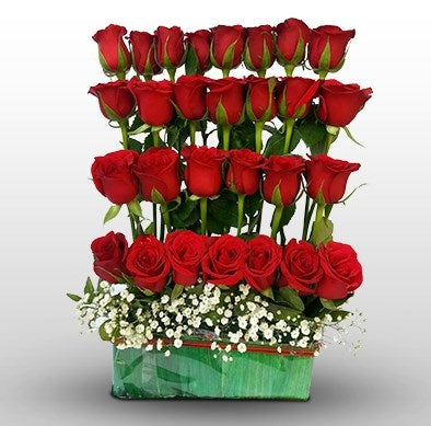 Red Theatre - Send Flowers Online