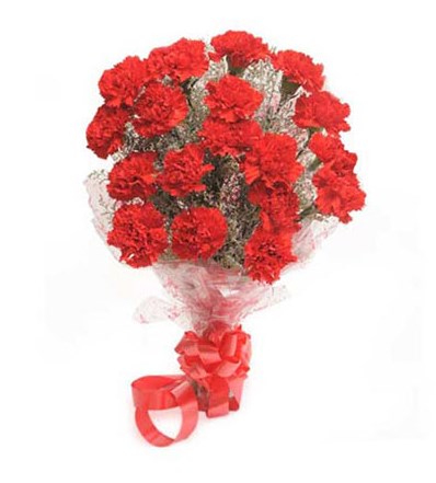 Red Carnival - Send Flowers Online