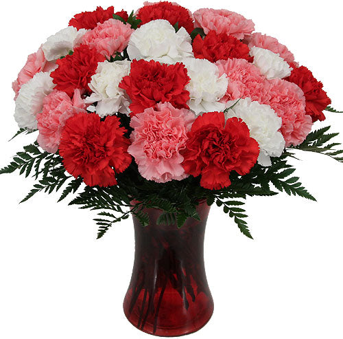 Two Dozen Mixed Carnations - Send Flowers Online