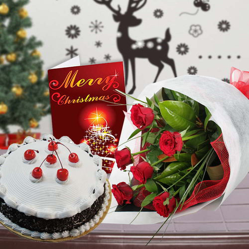 X MAS Red Roses Combo